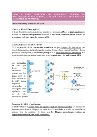 TEMA-3-BASES-GENETICAS-DEL-DESARROLLO-HUMANO.pdf