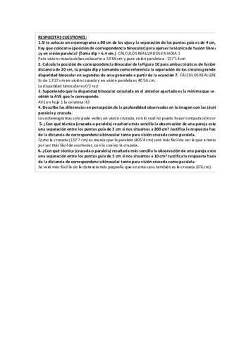 Copia-de-PRACTICA-OV2.pdf