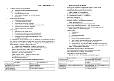 TEMA1. IDEA DE NEGOCIO.pdf