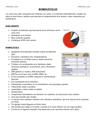 Biomoleculas.pdf