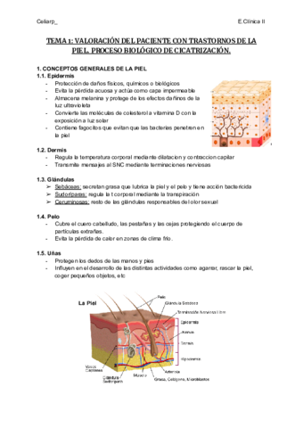 TEMA-1-VALORACION-DEL-PACIENTE-CON-TRASTORNOS-DE-LA-PIEL.pdf