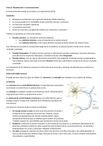 Tema-6.pdf