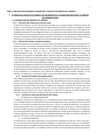 TEMA-1DT.pdf