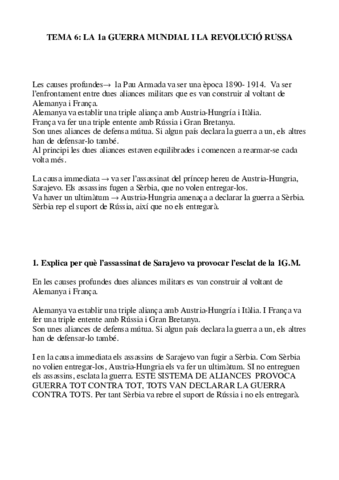 T6-LA-GUERRA-MUNDIAL-I-LA-REV-RUSSA.pdf