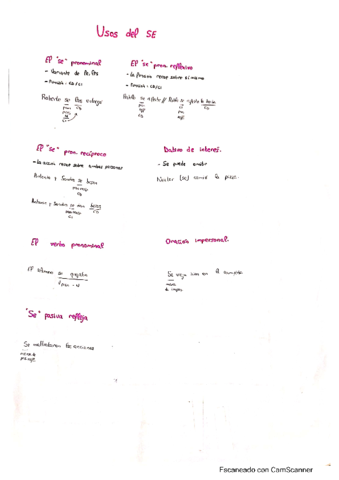 Usos-del-SE.pdf
