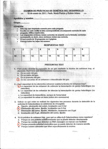 Model-exam-G.pdf