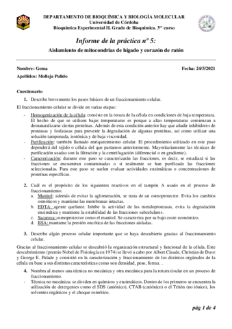 Molleja-PulidoGemaPL5.pdf