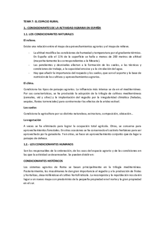 TEMA-7-Geografia.pdf