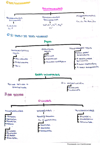 Tema-1-la-materia-de-la-vida.pdf
