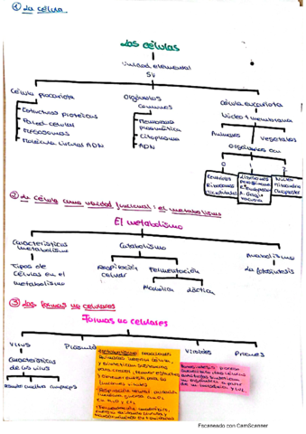 Tema-2-La-vida-y-su-organizacion-las-celulas-1bach.pdf
