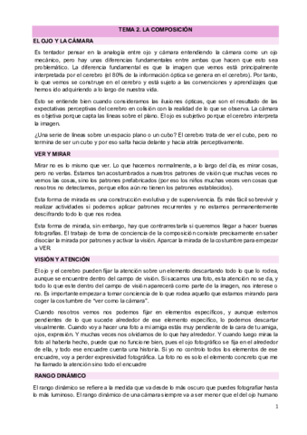 TEMA-2.pdf