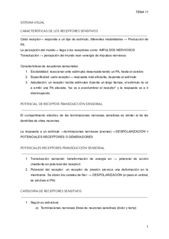SISTEMA-VISUAL-definitivo.pdf