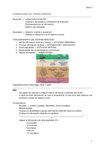 GENERALIDADES-DEL-SISTEMA-NERVIOSO.pdf