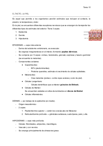 EL-TACTO-pdf.pdf
