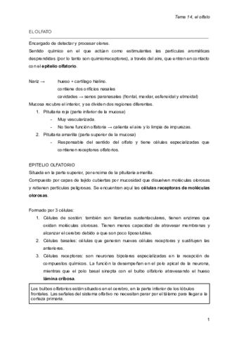 EL-OLFATO.pdf