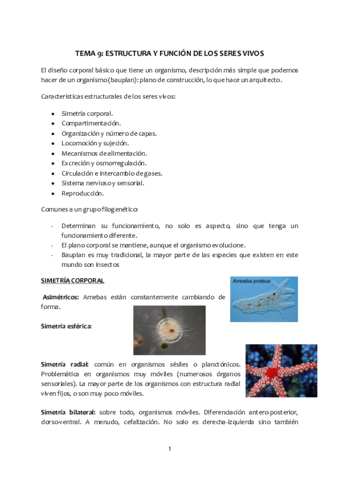 Tema-9-Estructura-y-funcion-de-los-seres-vivos.pdf