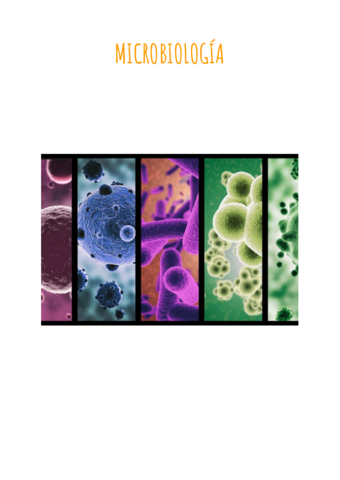 17.Microbiologia.pdf