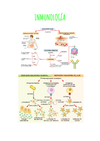 19.inmunologia.pdf