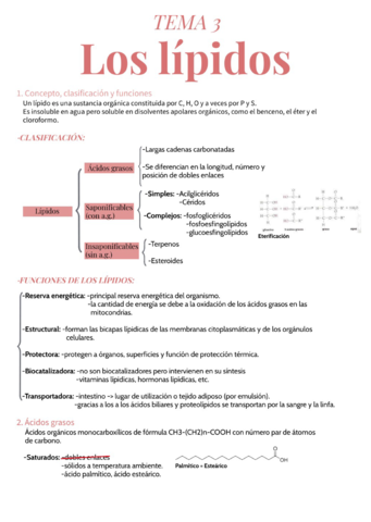 apuntes-lipidos.pdf