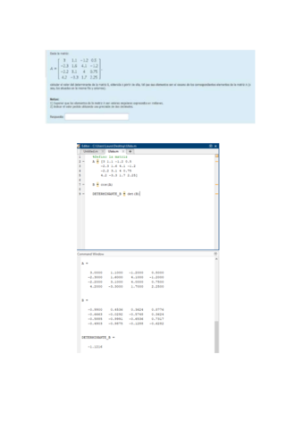 Resolucion-cuestionario-1-y-2-ejemplo.pdf