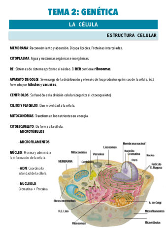 PSICOBIOLOGIA-T2.pdf