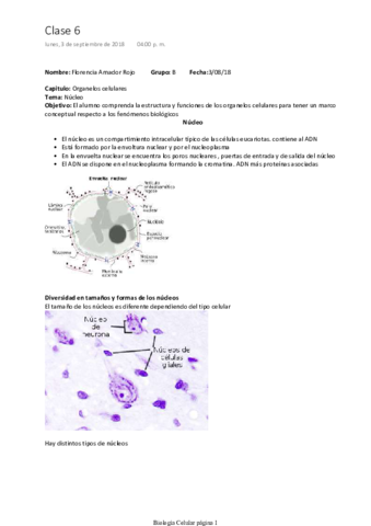 Nucleo-y-citoplasma-celular.pdf