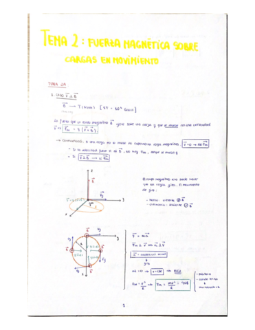 TEMA-2-FISICA-II.pdf