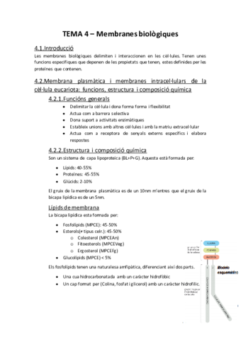 Biologia TEMA 4.pdf