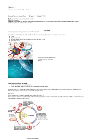 Ciclo-celular.pdf