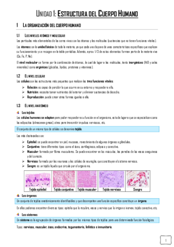 FPG-Apuntes.pdf