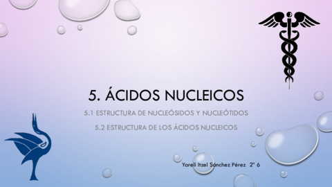 Acidos-nucleicos.pdf