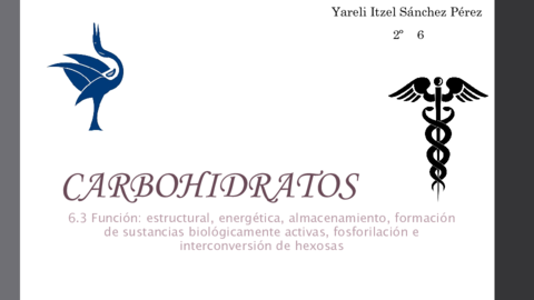 Carbohidratos.pdf