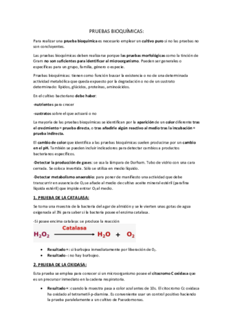 PRUEBAS BIOQUIMICAS examen practico y teorico.pdf
