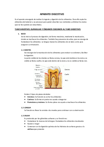 SISTEMA-DIGESTIVO-Y-SUS-PATOLOGIAS.pdf