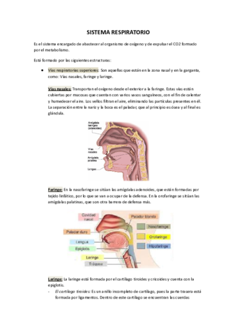 SISTEMA-RESPIRATORIO.pdf