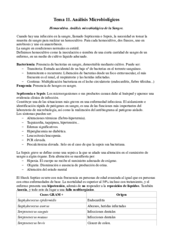 tema 11.pdf