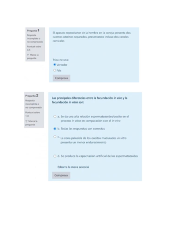 Cuestionario-2o-bloque.pdf