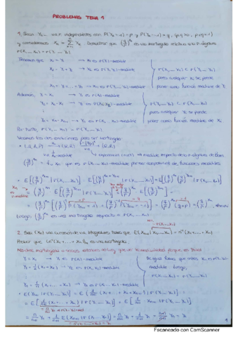 Problemas-procesos-estocasticos.pdf