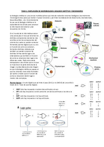 Tema-2-Ampli-micro.pdf