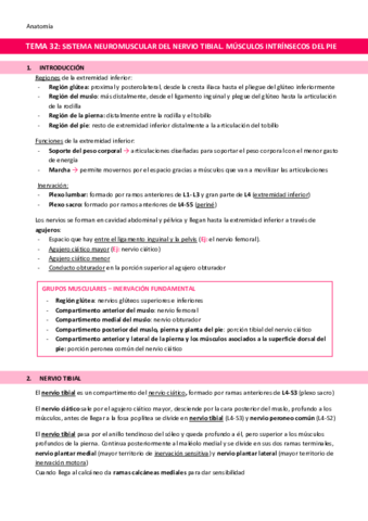 TEMA-32-Sistema-neuromuscular-del-nervio-tibial.pdf