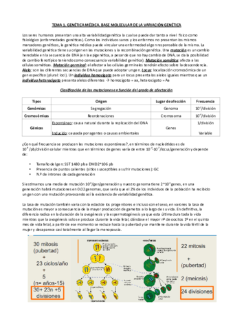 Tema-1-genetica-medica.pdf