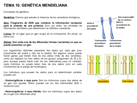 Tema-10-genetica-mendeliana.pdf