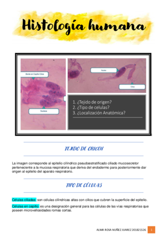 HISTOLOGIA-CELULAS.pdf