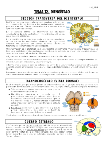 TEMA-13.pdf