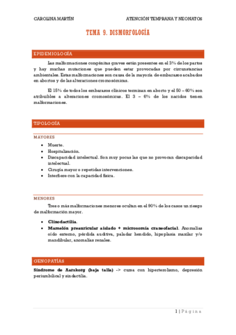 TEMA-9.pdf