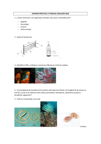 EXAMEN-PRACTICO-1o-PARCIAL-ZOOLOGIA-2022.pdf
