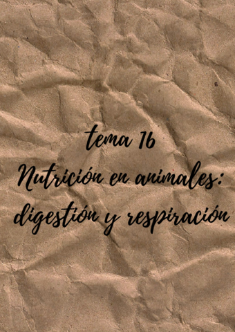 tema-16-Nutricion-en-animales-digestion-y-respiracion.pdf