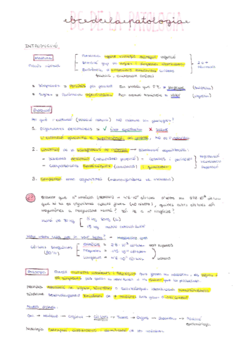 BIOPATO-Teoria-i-Seminaris.pdf