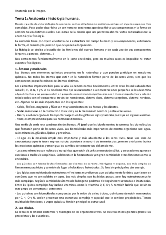 Tema-1.pdf