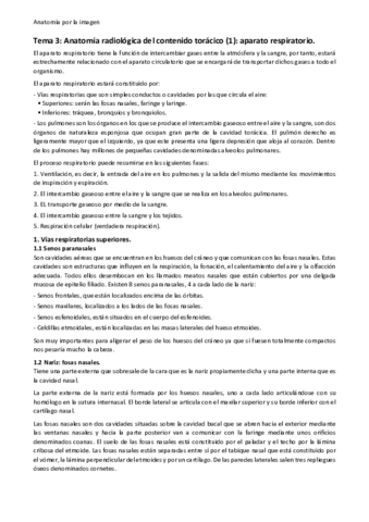 Tema-3.pdf